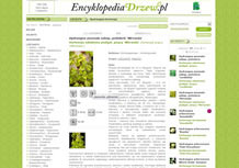 Encyklopedia drzew