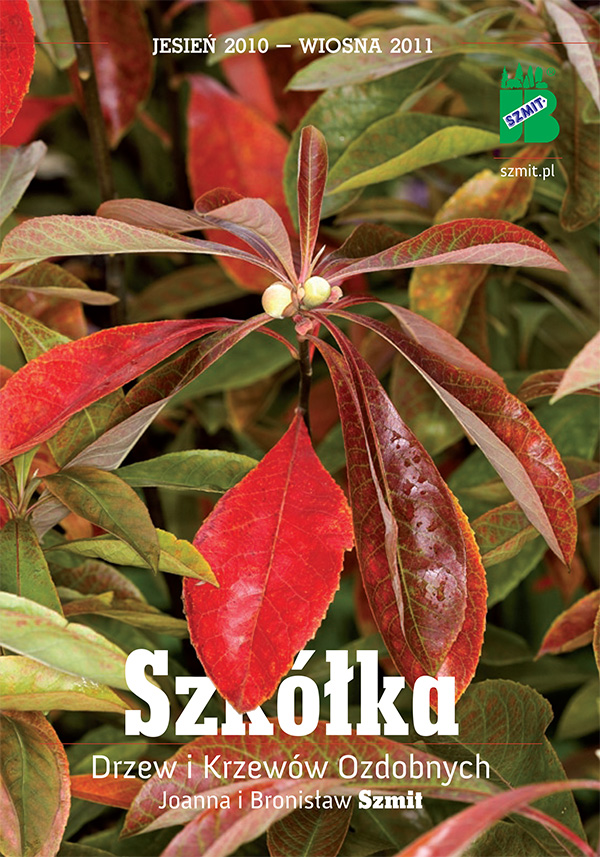 New catalogue for autumn 2010 – spring 2011 season