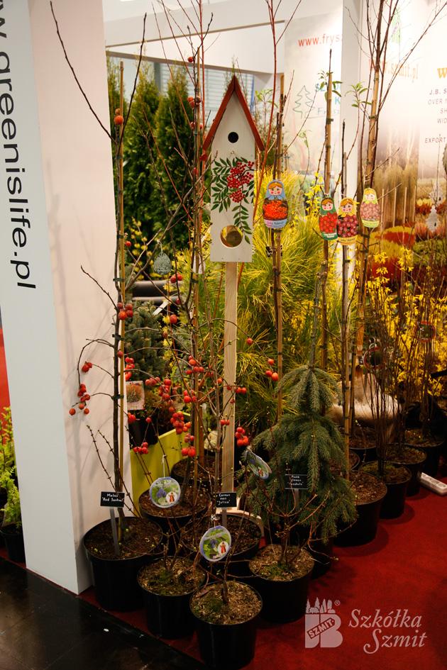 31. Międzynarodowe Targi Roślin „IPM Essen”, Essen styczeń 2013