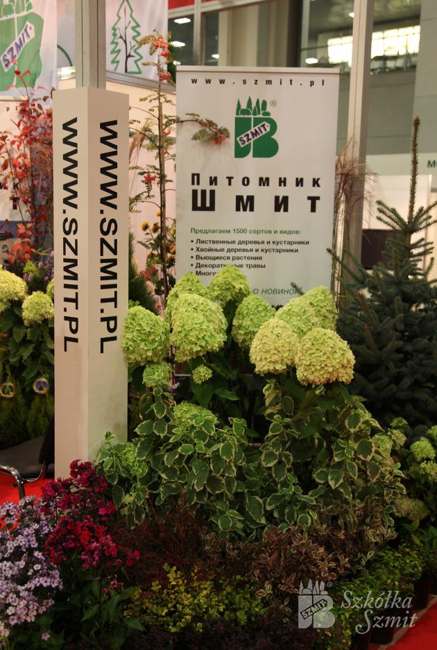 ”FlowersExpo”, Moscow September 2014
