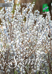 New Catalogue for the Autumn 2026 Season