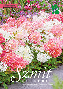 New catalogue for the autumn 2025 season